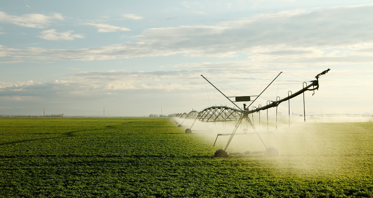 Irrigation systems on field